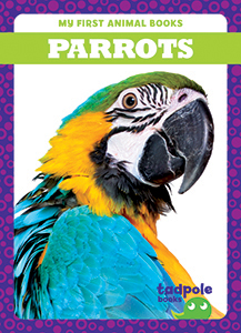 Cover Art for Parrots