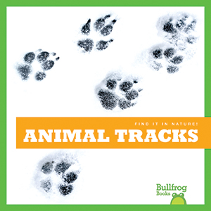 Cover Art for Animal Tracks