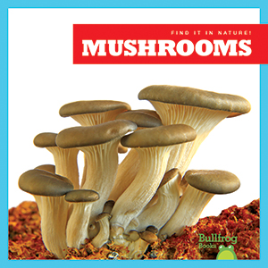 Cover Art for Mushrooms