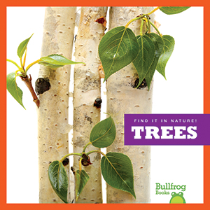 Cover Art for Trees