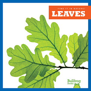 Cover Art for Leaves
