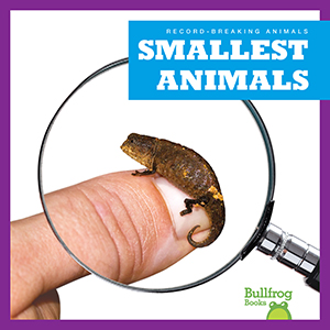 Cover Art for Smallest Animals