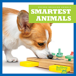 Cover Art for Smartest Animals
