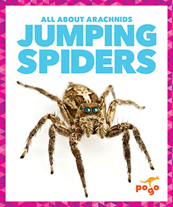 Cover Art for Jumping Spiders