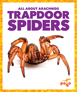 Cover Art for Trapdoor Spiders