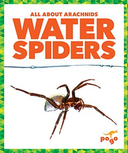 Cover Art for Water Spiders