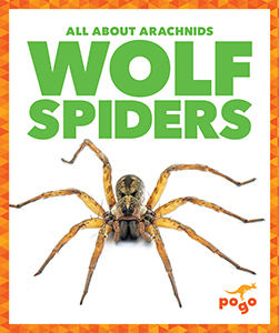 Cover Art for Wolf Spiders