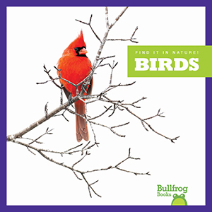 Cover Art for Birds