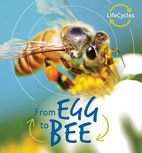 Cover Art for From Egg to Bee