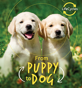 Cover Art for From Puppy to Dog