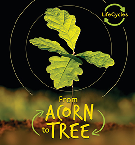 Cover Art for From Acorn to Tree