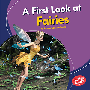 Cover Art for A First Look at Fairies