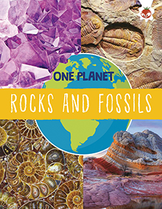 Cover Art for Rocks and Fossils