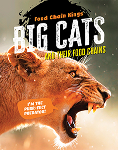 Cover Art for Big Cats and their food chains