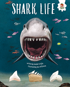 Cover Art for Shark Life