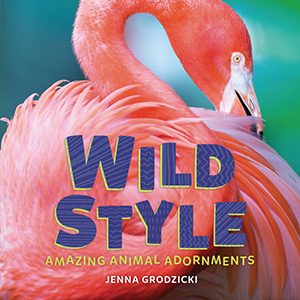 Cover Art for Wild Style: Amazing Animal Adornments
