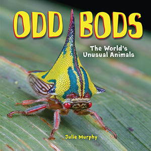 Cover Art for Odd Bods: The World's Unusual Animals