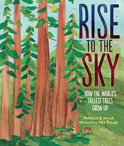 Cover Art for Rise to the Sky: How the World's Tallest Trees Grow Up