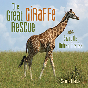 Cover Art for The Great Giraffe Rescue: Saving the Nubian Giraffes