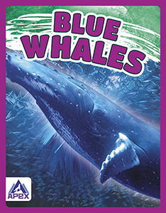 Cover Art for Blue Whales