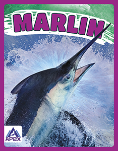 Cover Art for Marlin