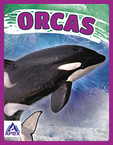 Cover Art for Orcas