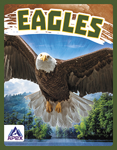 Cover Art for Eagles
