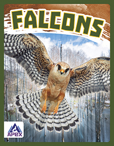 Cover Art for Falcons
