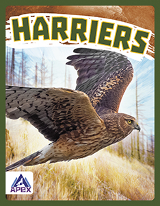 Cover Art for Harriers