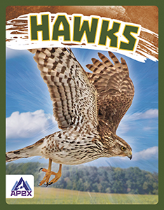 Cover Art for Hawks