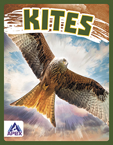 Cover Art for Kites
