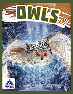 Cover Art for Owls