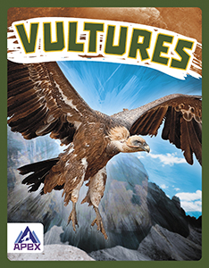 Cover Art for Vultures