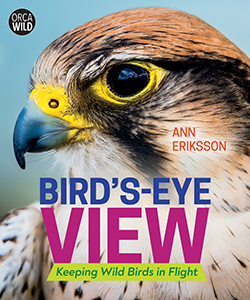 Cover Art for Bird's-Eye View: Keeping Wild Birds in Flight