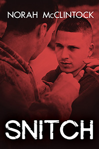 Cover Art for Snitch