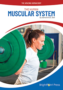 Cover Art for The Human Muscular System