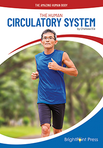Cover Art for The Human Circulatory System