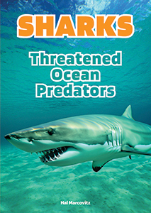 Cover Art for Sharks: Threatened Ocean Predators