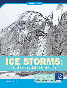 Cover Art for Ice Storms: Causes and Effects
