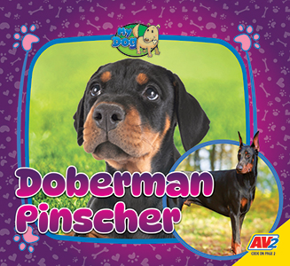 Cover Art for Doberman Pinscher