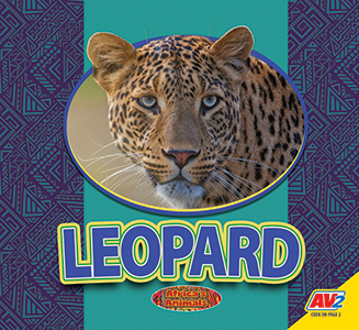 Cover Art for Leopard